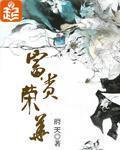 《富贵荣华》（校对版全本）作者：府天 百度云txt全集下载 封面