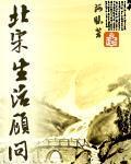 《北宋生活顾问》（校对版全本+番外）作者：阿昧 百度云txt全集下载 封面