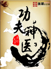 《功夫神医》（校对版全本）作者：步行天下 百度云txt全集下载 封面