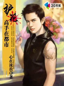 《护花高手在都市》（校对版全本）作者：心在流浪 百度云txt全集下载 封面