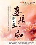 《妾居一品》(校对版全本)作者:梨云裳 百度云txt全集下载 封面
