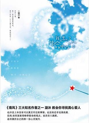 《我遇到了生命中的你》（实体版全本）作者：漩沐 百度云txt全集下载 封面