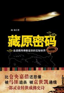 《藏原密码》(实体版全本)作者:颜栋 百度云txt全集下载 封面