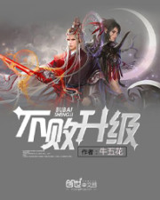 《不败升级》（校对版全本）作者：牛五花 百度云txt全集下载 封面
