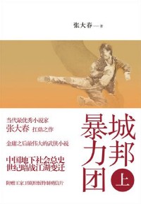 《城邦暴力团》（实体版全本）作者：张大春 百度云txt全集下载 封面
