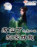 《成仙了别来找我》（校对版全本）作者：秋十三 百度云txt全集下载 封面