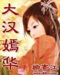 《大汉嫣华》（校对版全本）作者：柳寄江 百度云txt全集下载 封面