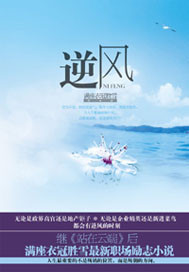《逆风》（校对版全本）作者：满座衣冠胜雪 百度云txt全集下载 封面