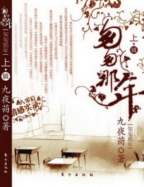 《匆匆那年》(实体版全本)作者:九夜茴 百度云txt全集下载 封面