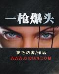 《网游之一枪爆头》（校对全本）作者：夜色访者 百度云txt全集下载 封面
