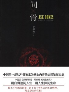 《问骨》（实体版全本）作者：尹剑翔 百度云txt全集下载 封面