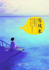 《等风来》（实体版全本）作者：鲍鲸鲸 百度云txt全集下载 封面