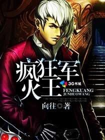 《疯狂军火王》（校对版全本）作者：向往 百度云txt全集下载 封面