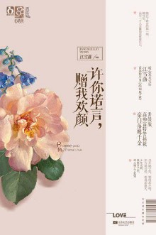 《许你诺言,赠我欢颜》(实体版全本)作者:江雪落 百度云txt全集下载 封面