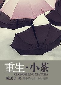 《重生·小茶》（校对版全本+番外）作者：疯丢子 百度云txt全集下载 封面