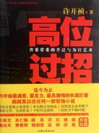《高位过招》(实体版全本)作者:许开祯 百度云txt全集下载 封面