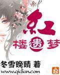 《红楼遗梦》（校对版全本）作者：冬雪晚晴 百度云txt全集下载 封面