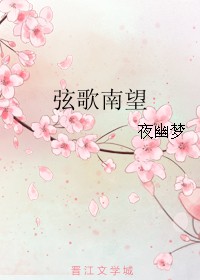 《弦歌南望》(校对版全本)作者:夜幽梦 百度云txt全集下载 封面