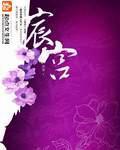 《宸宫》（校对版全本）作者：沐非 百度云txt全集下载 封面