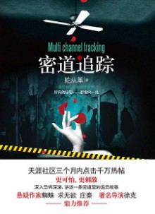 《密道追踪》（实体版全本）作者：蛇从革 百度云txt全集下载 封面