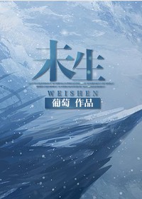 《未生》（校对版全本）作者：葡萄 百度云txt全集下载 封面