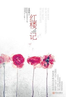 《红楼记》(实体版全本)作者:金国栋 百度云txt全集下载 封面