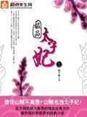 《极品太子妃》(校对版全本)作者:圆不破 百度云txt全集下载 封面