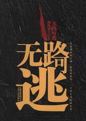 《无路可逃》（实体版全本）作者：湘西鬼王 百度云txt全集下载 封面