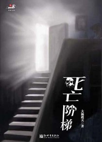 《死亡阶梯》(实体版全本)作者:大袖遮天 百度云txt全集下载 封面