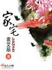 《家宅》（校对版全本）作者：袁艾辰 百度云txt全集下载 封面