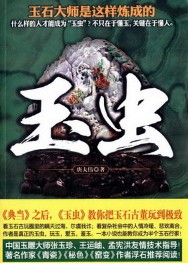 《玉虫》(实体版全本)作者:唐大伟 百度云txt全集下载 封面