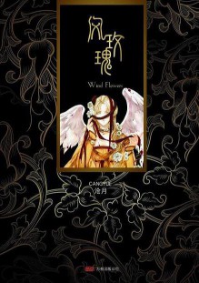 《风玫瑰》(实体版全本)作者:沧月 百度云txt全集下载 封面