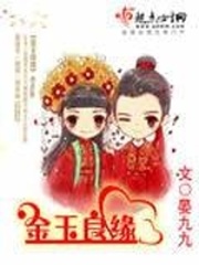 《金玉良缘》（校对版全本）作者：晏九九 百度云txt全集下载 封面
