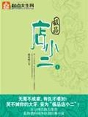 《极品店小二》(校对版全本)作者:林家成 百度云txt全集下载 封面