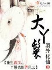 《大丫鬟》（校对版全本）作者：羽外化仙 百度云txt全集下载 封面
