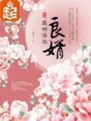 《良婿》（校对版全本）作者：意千重 百度云txt全集下载 封面