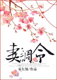 《妻调令》(校对版全本)作者:雾矢翊 百度云txt全集下载 封面