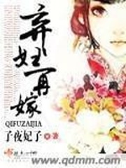 《弃妇再嫁》（校对版全本）作者：子夜妃子 百度云txt全集下载 封面