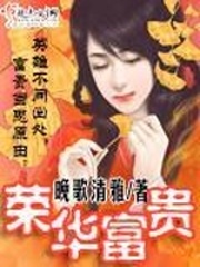 《荣华富贵》（校对版全本）作者：晚歌清雅 百度云txt全集下载 封面