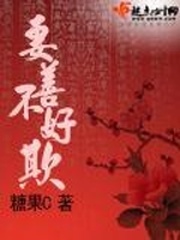 《妻善不好欺》（校对版全本）作者：糖果C 百度云txt全集下载 封面