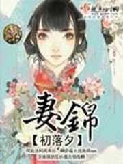 《妻锦》（校对版全本）作者：初落夕 百度云txt全集下载 封面