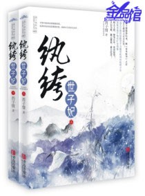 《纨绔世子妃》(校对版全本)作者:西子情 百度云txt全集下载 封面