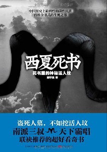 《西夏死书》(实体版全本)作者:顾非鱼 百度云txt全集下载 封面