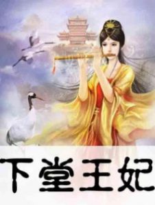 《下堂王妃》(校对版全本)作者:白衣胜雪 百度云txt全集下载 封面