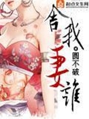 《舍我妻谁》（校对版全本）作者：圆不破 百度云txt全集下载 封面