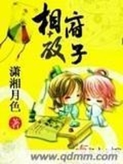《相府教子》（校对版全本）作者：潇湘月色 百度云txt全集下载 封面