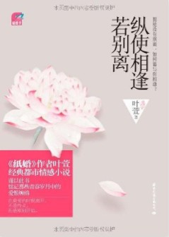 《纵使相逢若别离：完整版》（实体版全本）作者：叶萱 百度云txt全集下载 封面