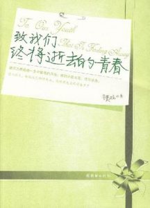 《致我们终将逝去的青春》（实体版全本）作者：辛夷坞 百度云txt全集下载 封面