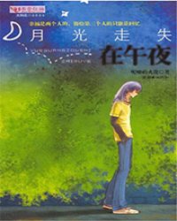《月光走失在午夜》(校对全本)作者:呢喃的火花 百度云txt全集下载 封面