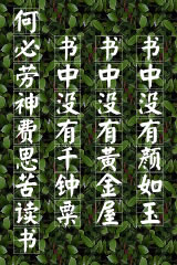 《乜视三国》(校对全本)作者:六只手 百度云txt全集下载 封面